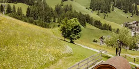 Alex Moling Hotel Alpenrose 79