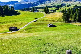 Prati delle Dolomiti