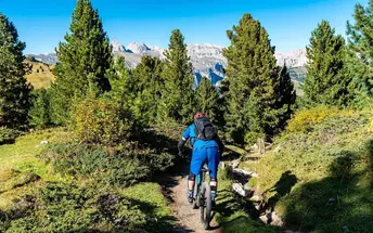 Mountain bike, natura e felicità